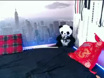 crazykitty3